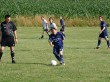 IMG_0351.jpg