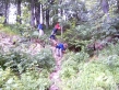 RIMG0049.jpg